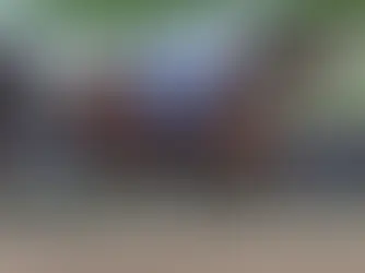 Tappan Street Returns in Style, With the Pegasus Looming on the Horizon