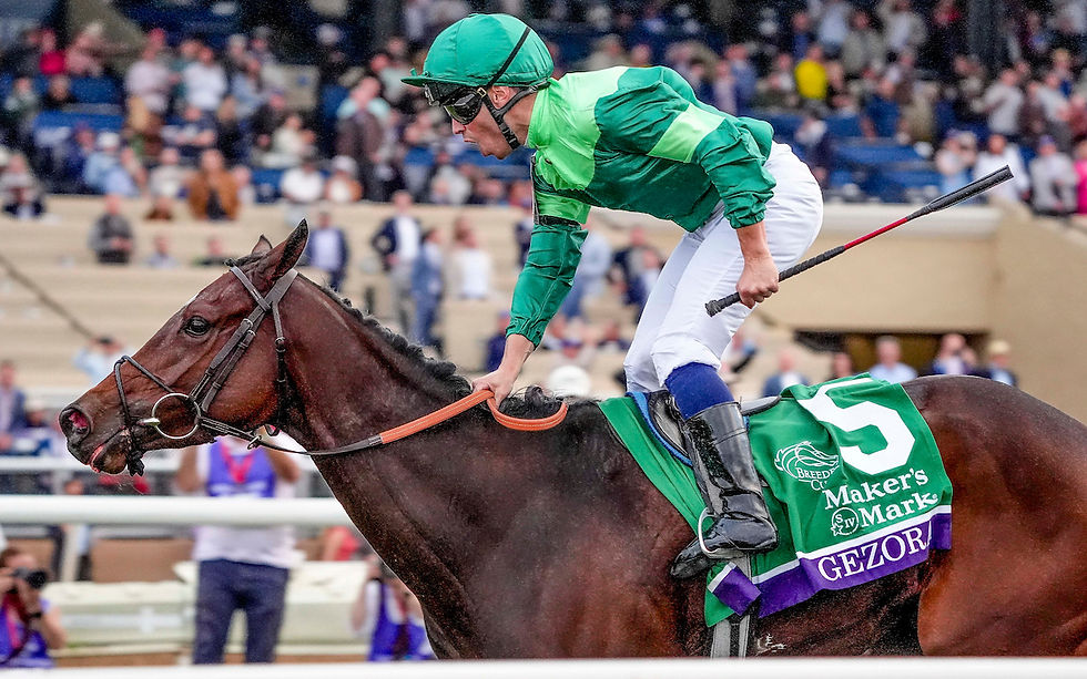 Gezora winning the Breeders’ Cup Filly & Mare Turf / BREEDERS' CUP