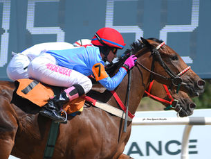 María Schneider Strikes for a Treble; Sizzling Hot and Severino Hit Impress