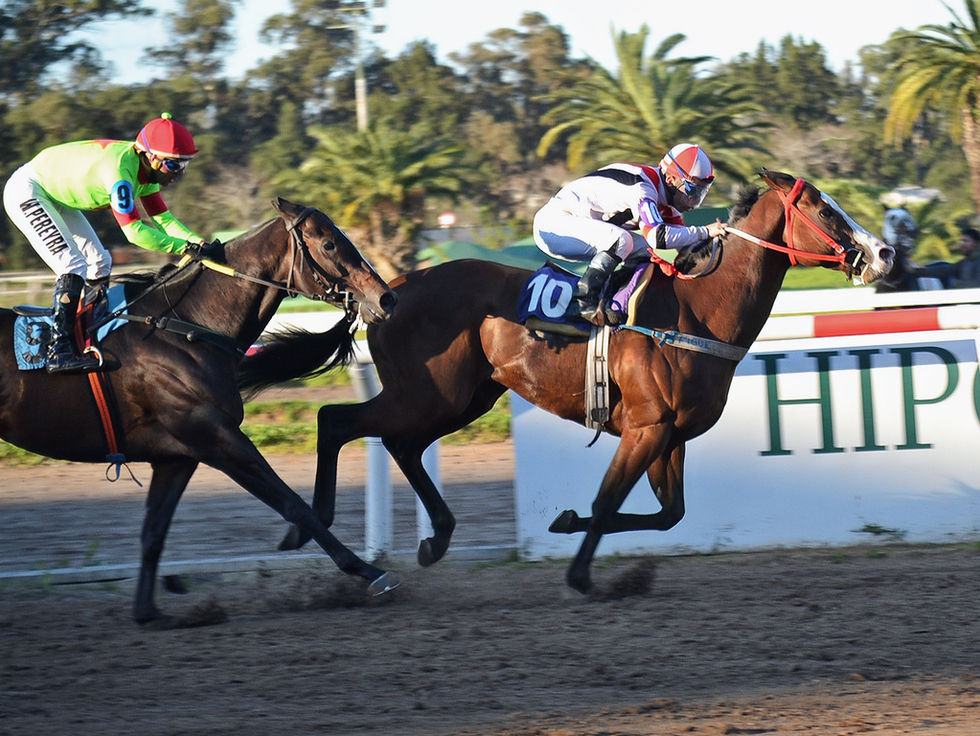 Hit It a Bou recuperó la memoria y ganó una dura batalla