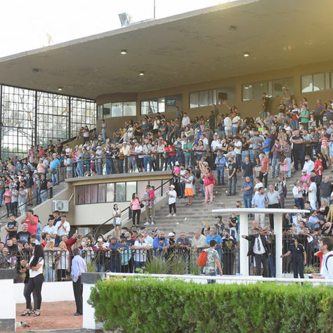 Revista Todo a Ganador - Programa y tabuladas para la reunión del martes 17/2 en el Hipódromo de La Plata