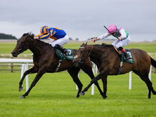 Whirl estiró la cosecha de Coolmore y O'Brien en el Pretty Polly