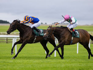 Whirl estiró la cosecha de Coolmore y O'Brien en el Pretty Polly