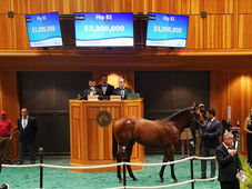 Saratoga confirmed its power: a record-breaking opening session and a market that keeps on growing