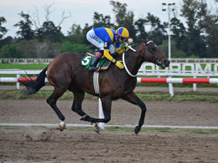 Es Aristocrático, un candidato de lujo para el Clásico Ciudad de La Plata