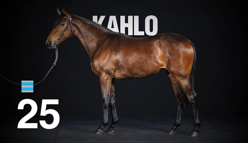 Resumen - Gran Venta Selección Haras Los Turfistas y Haras Tres Jotas