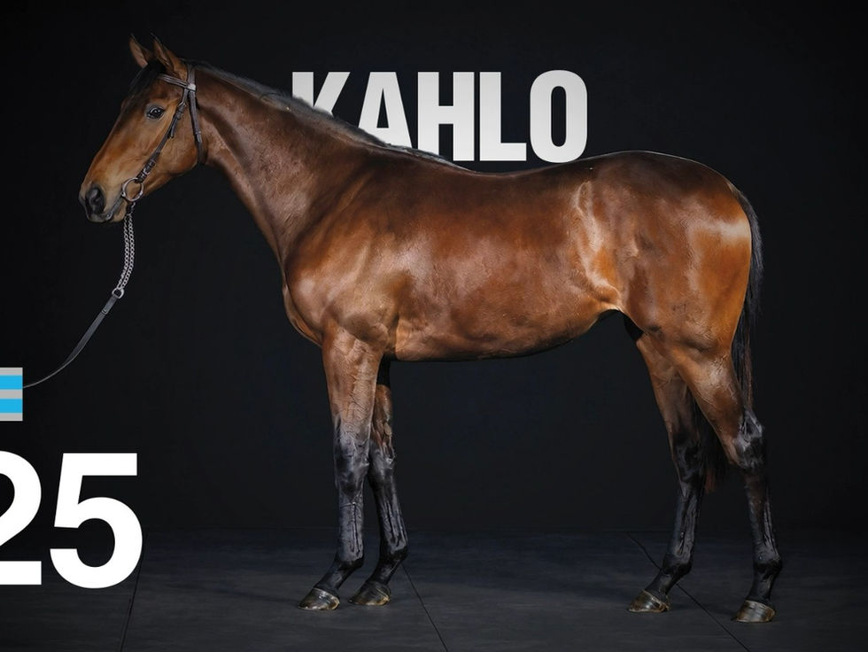 Kahlo fue el precio máximo en la Venta Selección de Los Turfistas