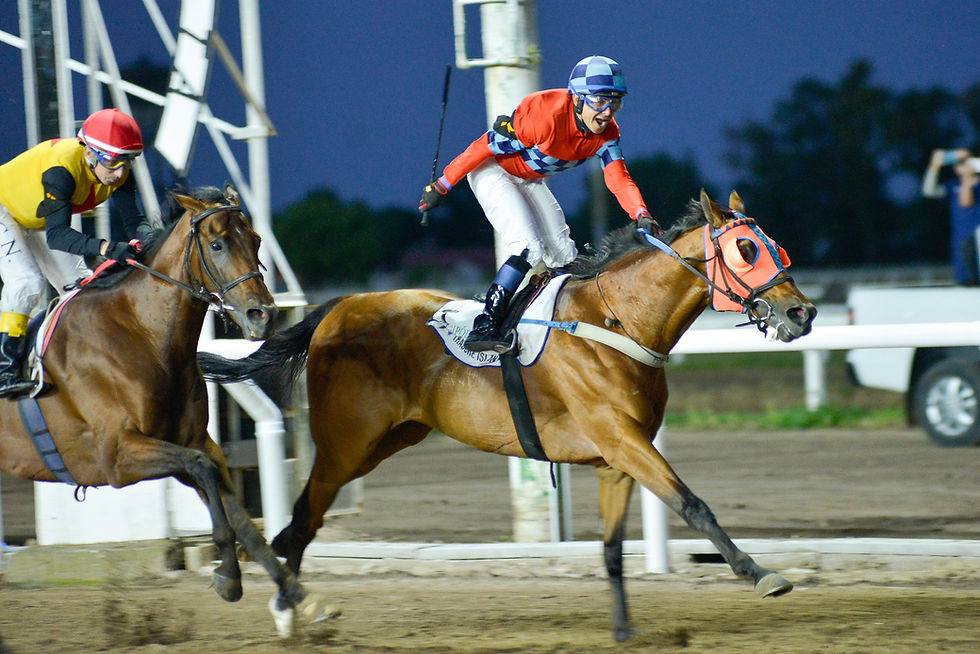 Treasure Island ganando el Gran Premio Dardo Rocha de 2024 / JUAN I. BOZZELO