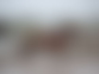 Candy Unica se afirmó en el barrial y se quedó con el Fortunato Damiani