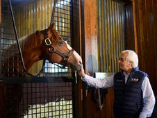 Justify once again headlines the Ashford Stud roster, which will also welcome several new stars