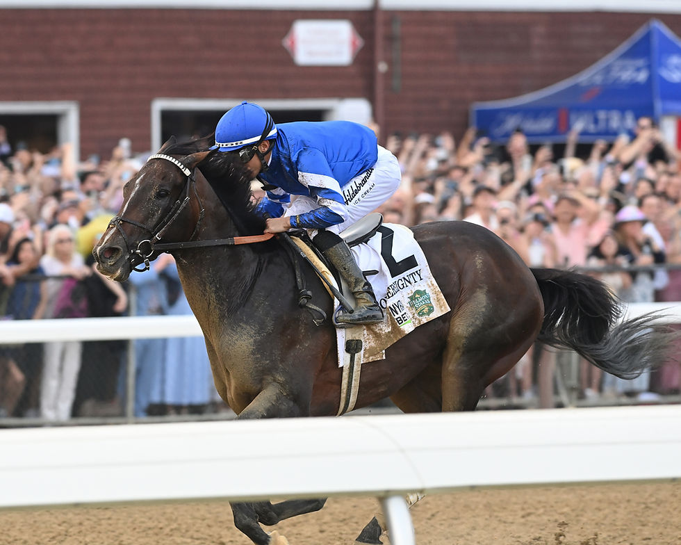 Sovereignty se quedó con el título de Caballo del Año 2025 en los Estados Unidos