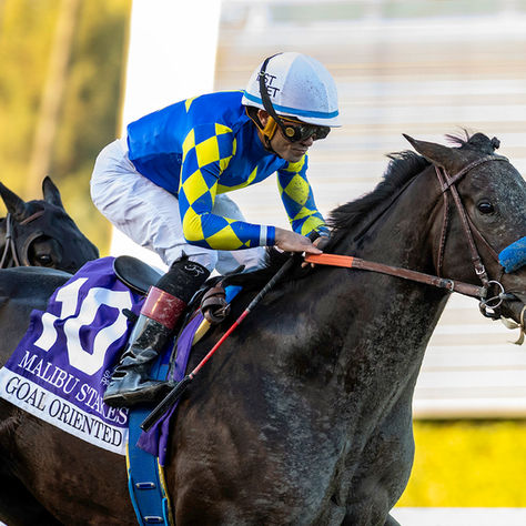 Goal Oriented se reinventó en la Malibu y encabezó otro show de Baffert en Santa Anita