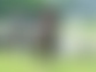 The G2 winner Linda Isabelle topped the Breeding Stock Sale as the highest-priced offering of the session