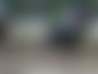 No había mucho misterio, en la pista pesada, ganó Empress Life, del Stud El Barrial...