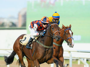 Sin las 1000 Guineas, el Bayakoa queda como consuelo en la ruta del césped