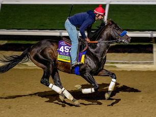 Notable Speech busca revancha y cerrar el círculo para Godolphin en el Mile