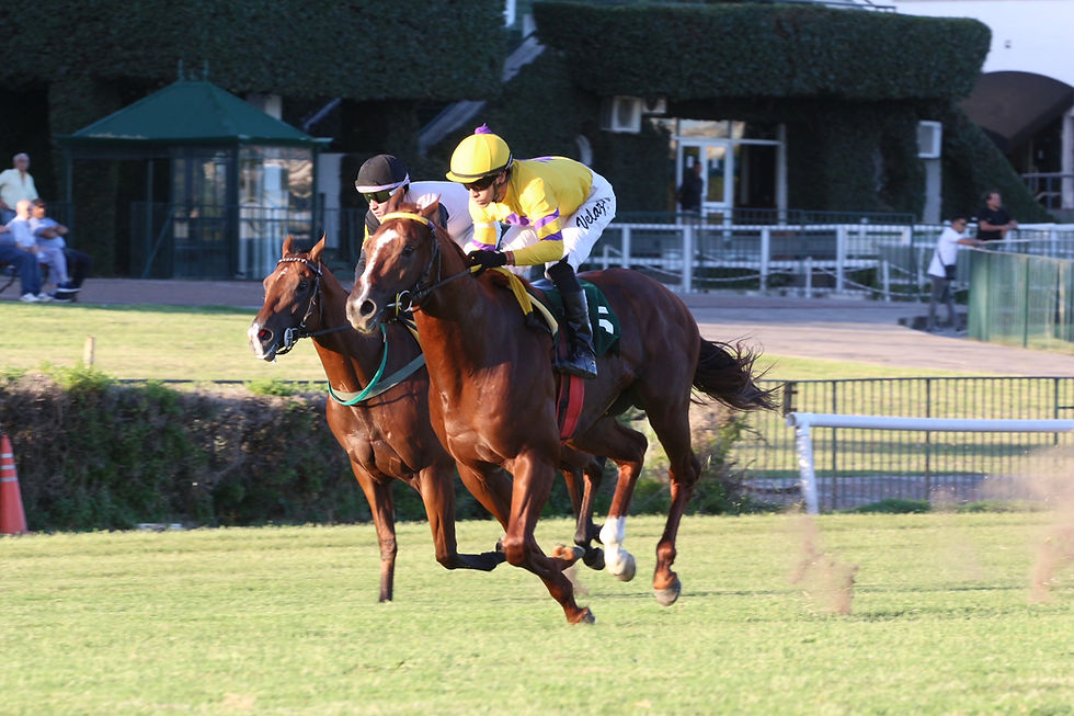 Contra Pronóstico no la tendrá nada fácil