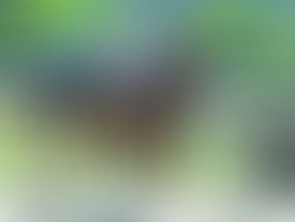 In Tuesday’s features, the presence of Nipotina and El Quintral stands out