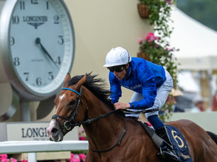 Ombudsman Reaches the Summit of the Longines World's Best Racehorse Rankings