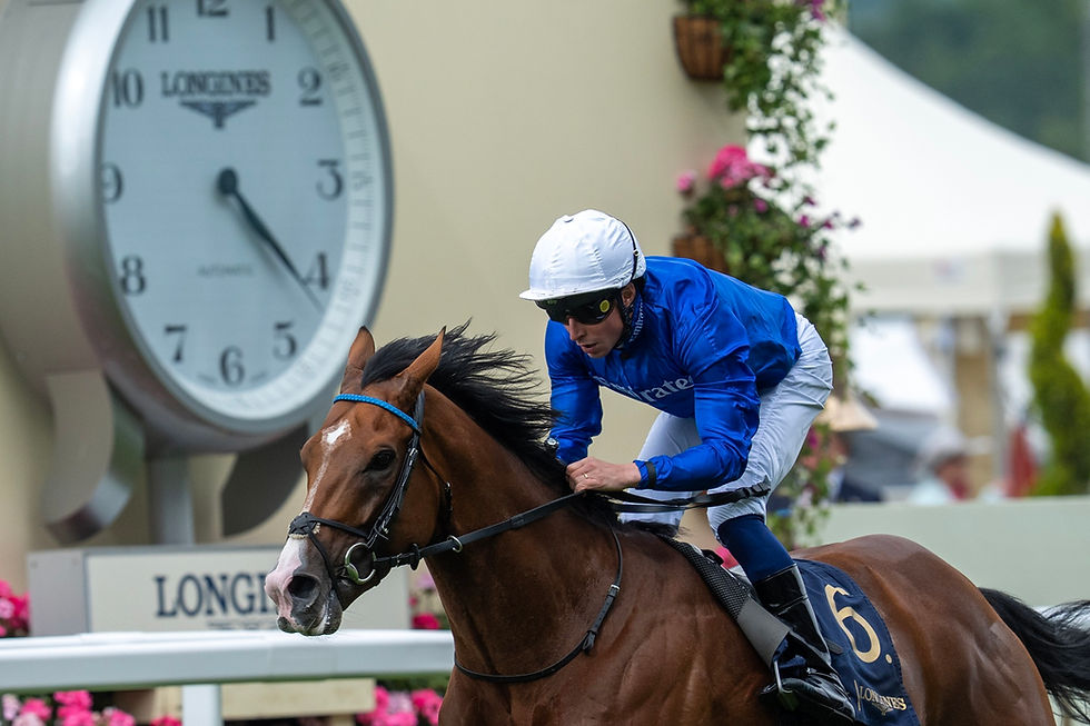 Ombudsman Reaches the Summit of the Longines World's Best Racehorse Rankings