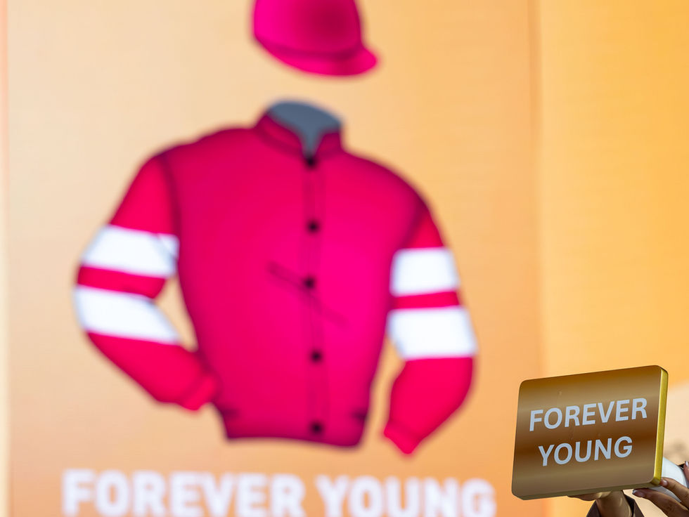 Forever Young, siempre afortunado en los sorteos, partirá desde la puerta 6