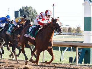 Fully Subscribed no afloja y ahora va por Nitrogen y la Breeders’ Cup