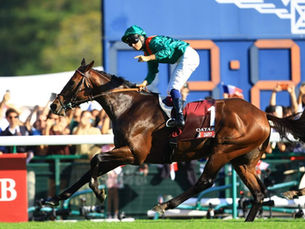 Daryz, entre la historia y el haras: esta semana se define su futuro