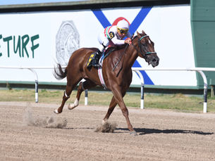 Sally Stripes won in a fashion that suggests she will be a major player in stakes company