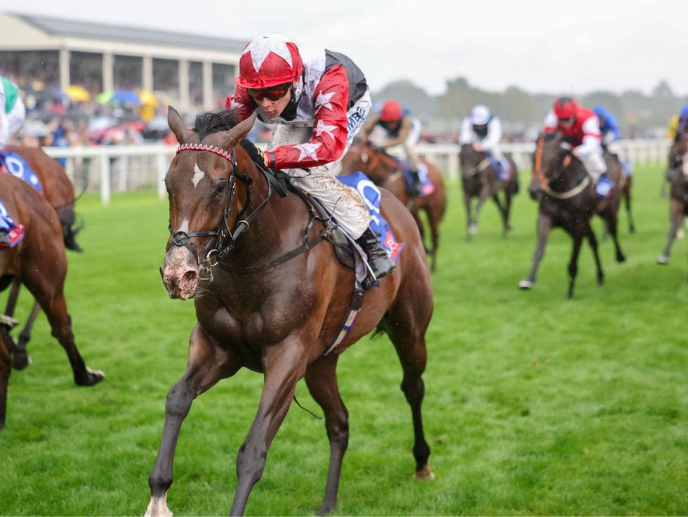 En York, Libertango volvió a brillar y ya enfoca hacia la Breeders’ Cup
