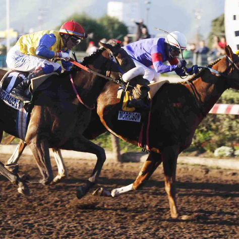 Morrison fue guapo en las Dos Mil Guineas y Tiz the Law ya suma 6 ganadores de G1 en Chile