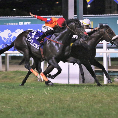 Orange Riviera and Torres García, in the second leg of the Rio de Janeiro's Triple Crown