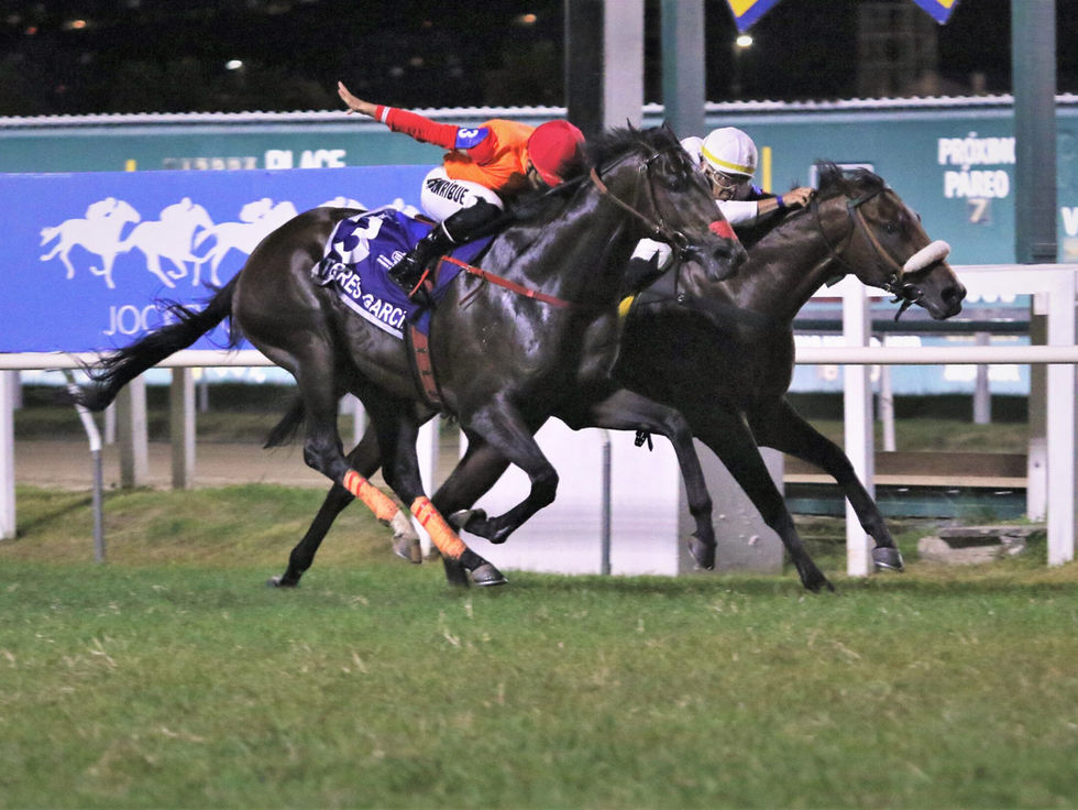 Orange Riviera y Torres García, en la segunda etapa de la Triple Corona carioca