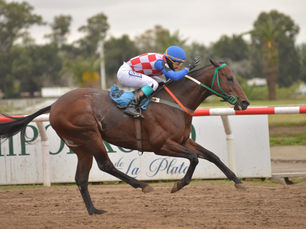 Vespaciano Returns to Winning Ways After 734 Days