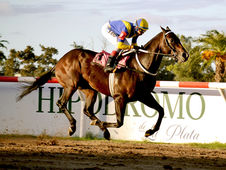 La Plata Officials Scuttle, Reschedule Clásico Doyhenard