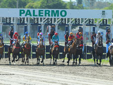 Selecciones Domingo 24/8 Hipódromo de Palermo