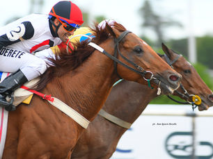 Southern Secret cargó en el final para quedarse con un triunfo sorprendente