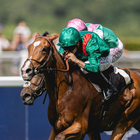 Benvenuto Cellini Seeks to Confirm His Rise in a High-Voltage King George