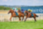 Qirat ganándole a Rosallion en el Sussex Stakes / GOODWOOD