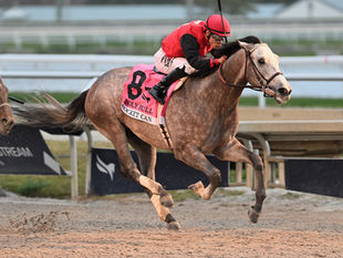 El doble G3 Rocket Can servirá en Uruguay desde 2026