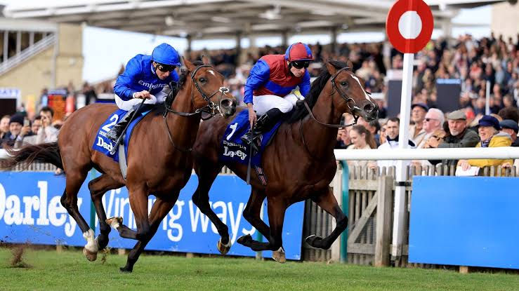 Darkness Falls won a memorable Dewhurst and now dreams of the Triple Crown