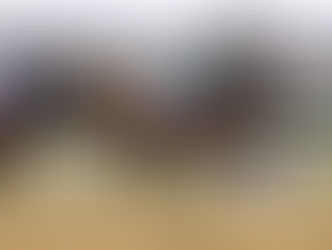 Iron Honor, la carta de Chad Brown para torcer la suerte en el Wood Memorial