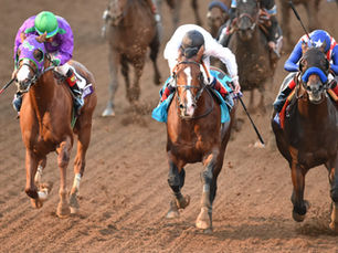 Bayern, the Controversial Winner of the 2014 Breeders' Cup Classic, Passes Away