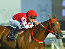 De Nashville Luckie a Celestial Filly, 6 potrancas ganadoras del Congreve