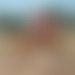 Paxing quiere seguir por la curva ascendente en el Clásico Los Criadores