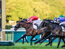 Caballo De Mar volvió a brillar en Longchamp y alcanzó otro triunfo de G1