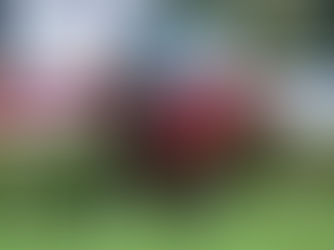 Romantic Warrior volvió como lo que es: una leyenda viva de Hong Kong