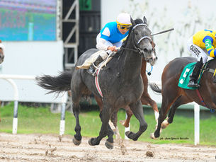 Mani Girl y Pancho Gio, nombres para tener en cuenta