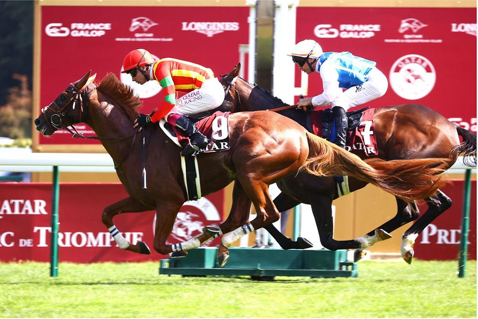 Prix Foy: Japan’s Hope for October / FRANCE-GALLOP