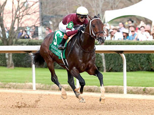 Magnitude did his job to perfection, but the trip to Dubai is now on hold