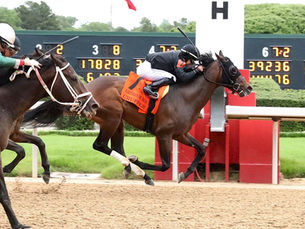 Crupper, el hijo de Candy Ride que apunta al Preakness